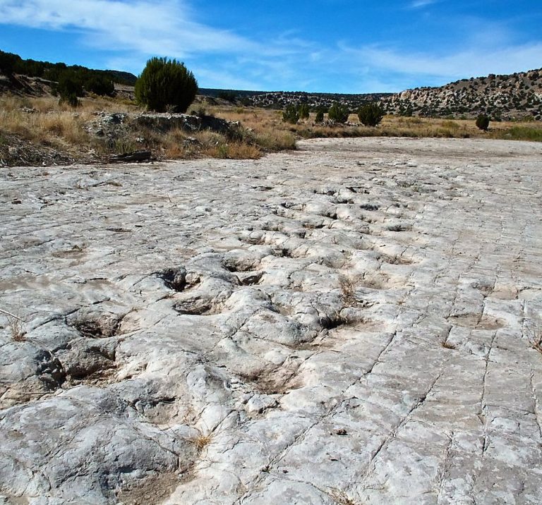 dinosaur tracks red rock canyon