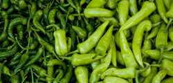 mix of bright green peppers